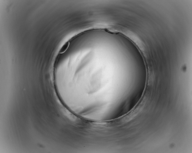 X0000100961342200807081233