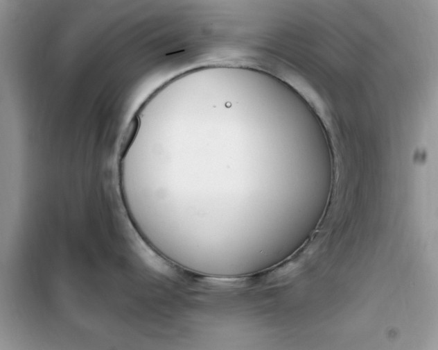 X0000100961344200807081233