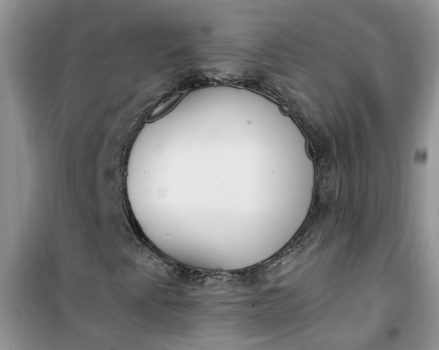 X0000100961345200807081232