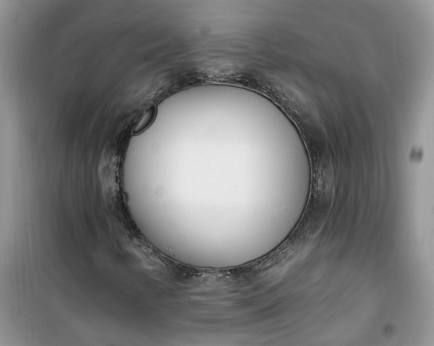 X0000100961346200807081232