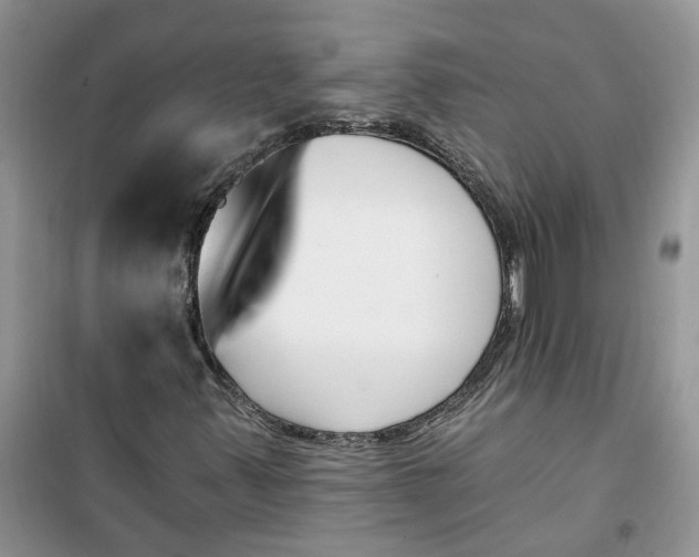 X0000100961347200807081232