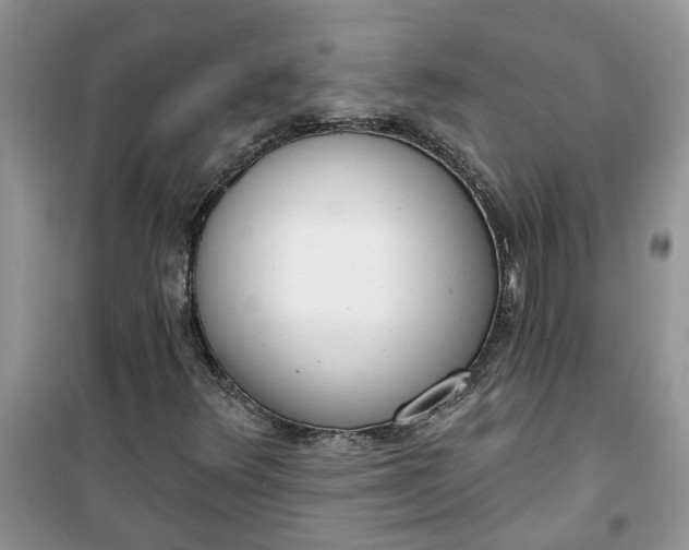 X0000100961348200807081232