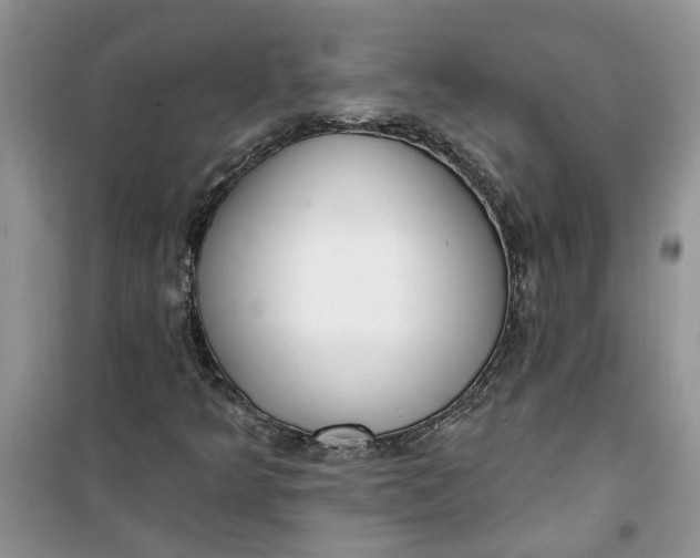 X0000100961349200807081232