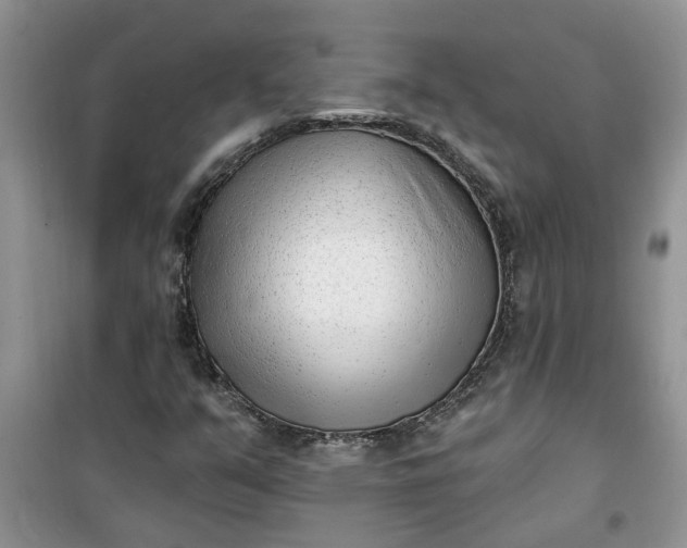 X0000100961351200807081232