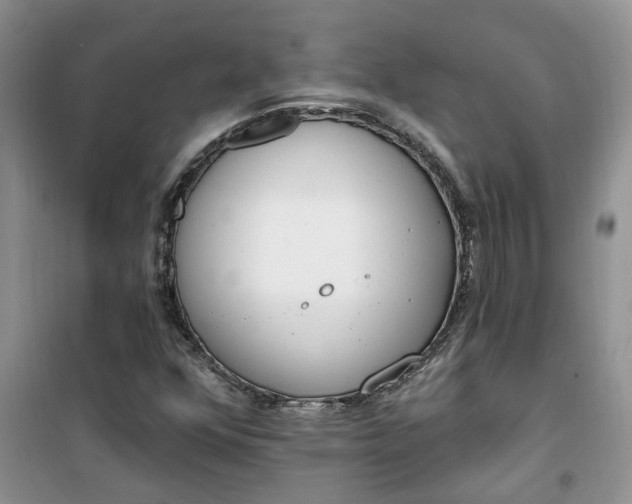 X0000100961352200807081232