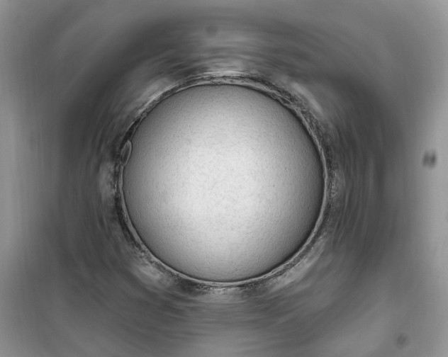 X0000100961353200807081232