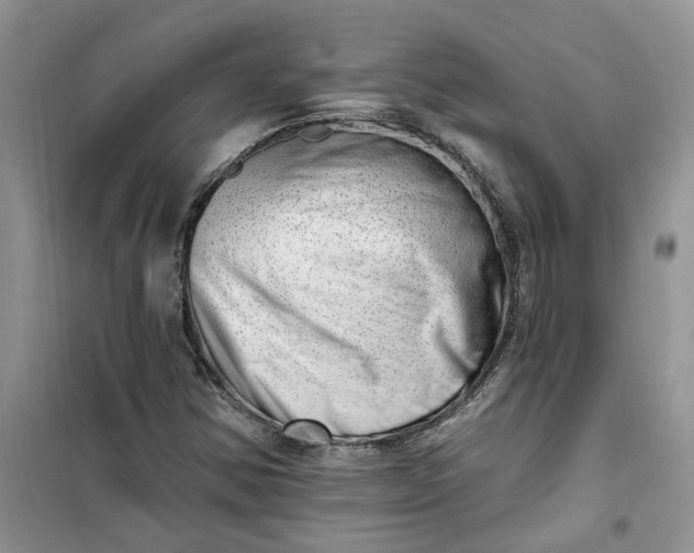 X0000100961354200807081232