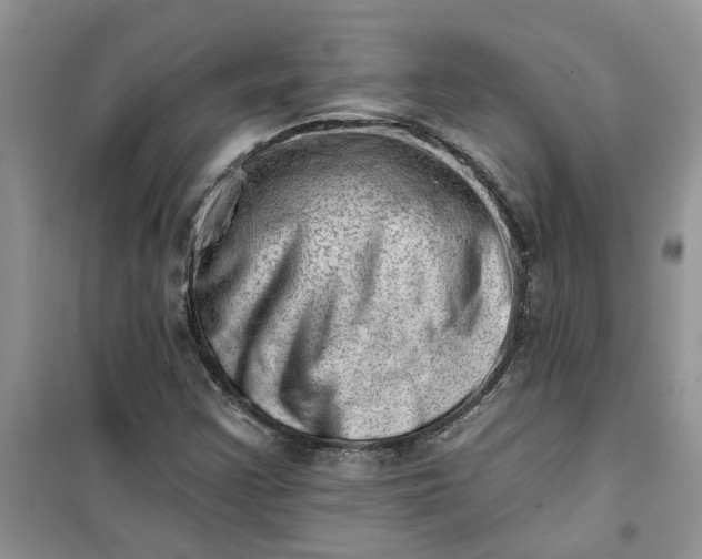 X0000100961355200807081232