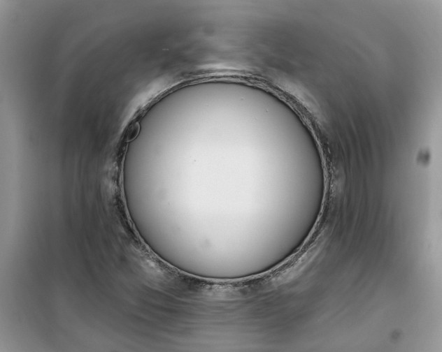 X0000100961357200807081232