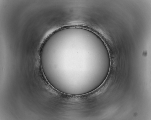 X0000100961358200807081232
