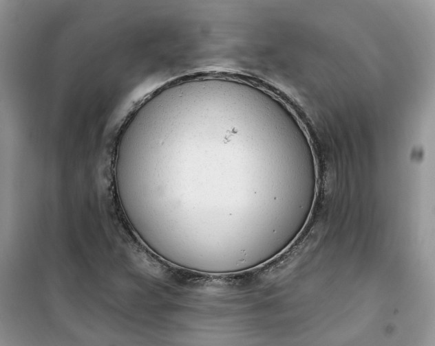 X0000100961359200807081232