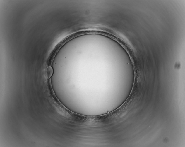 X0000100961360200807081232
