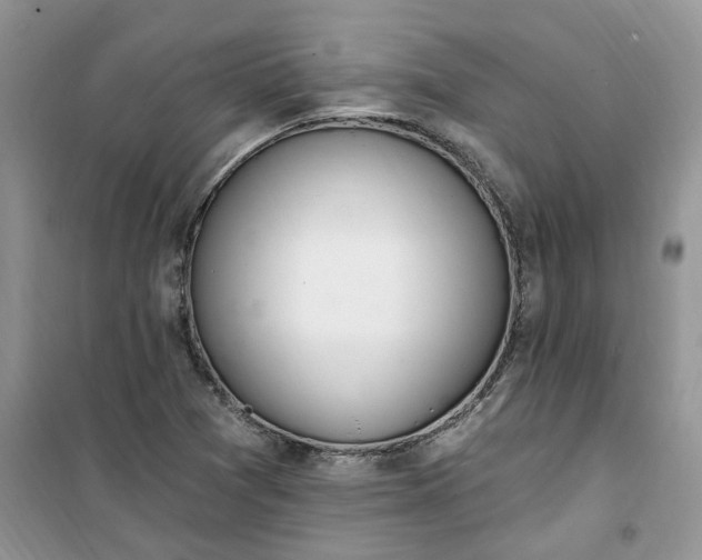 X0000100961361200807081232