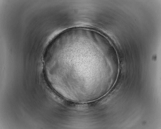 X0000100961363200807081232