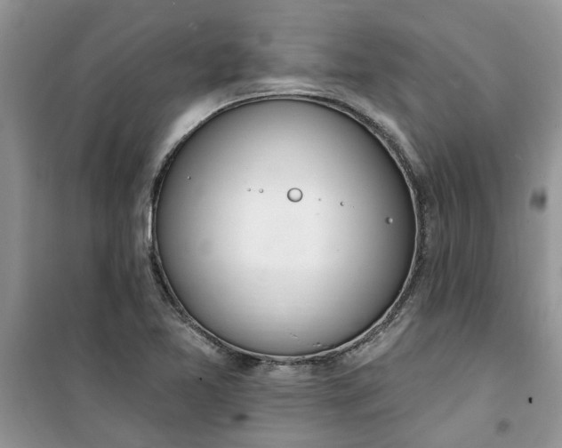 X0000100961365200807081232