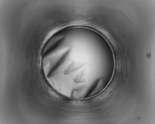 X0000100961366200807081232