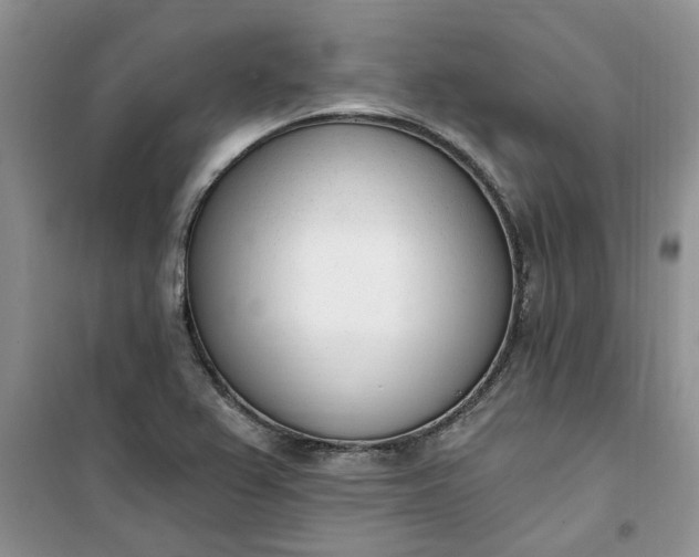 X0000100961367200807081232
