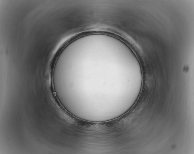 X0000100961368200807081232