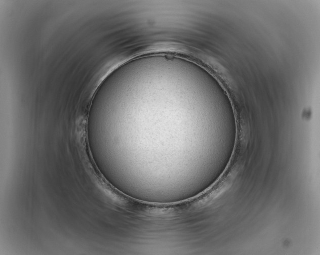 X0000100961369200807081232