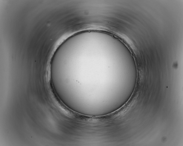 X0000100961371200807081232