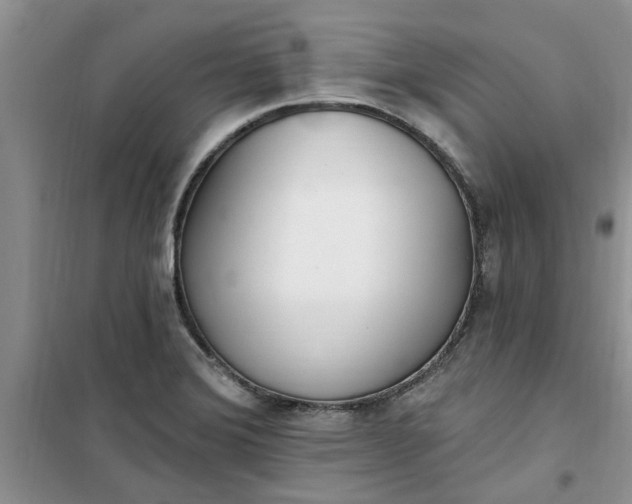 X0000100961372200807081232