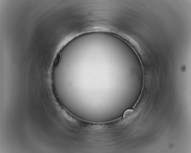 X0000100961373200807081232