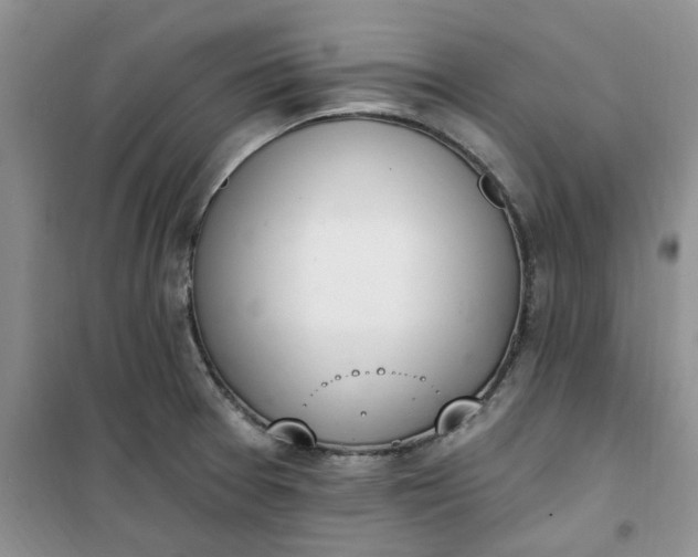 X0000100961377200807081231