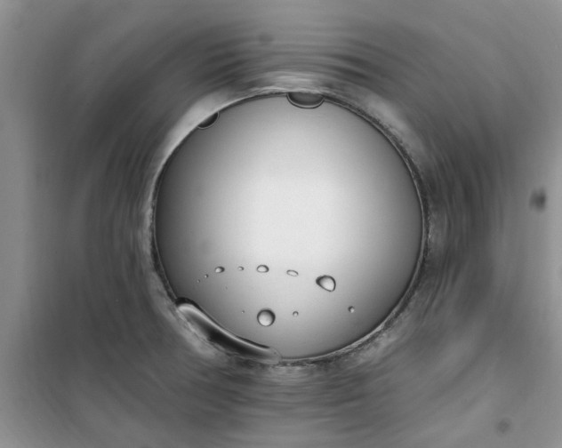 X0000100961378200807081231