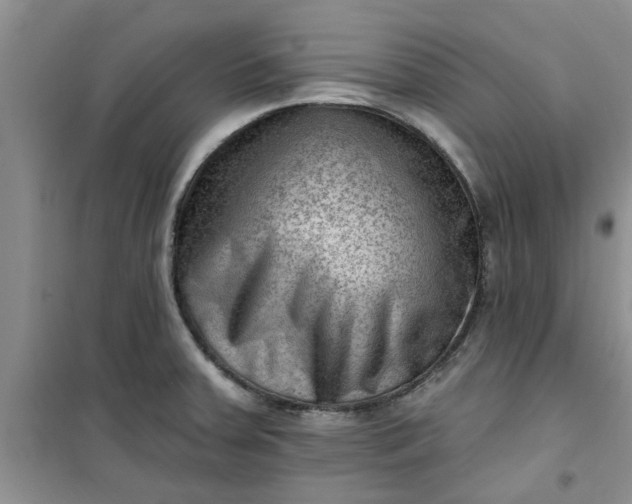 X0000100961379200807081231