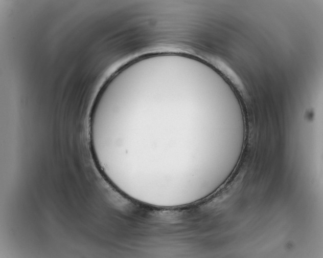 X0000100961380200807081231