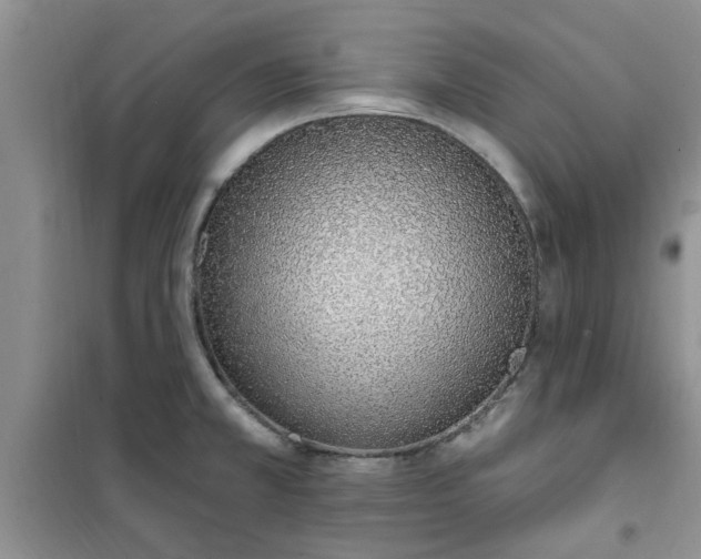 X0000100961381200807081231