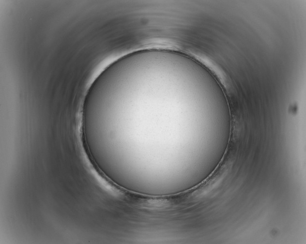 X0000100961383200807081231