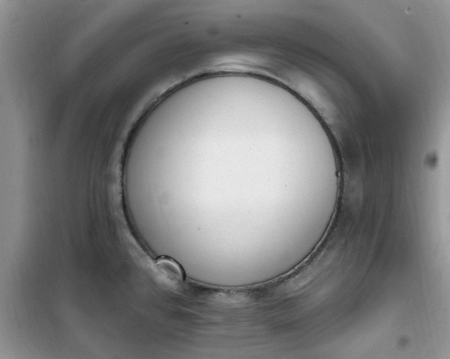 X0000100961384200807081231