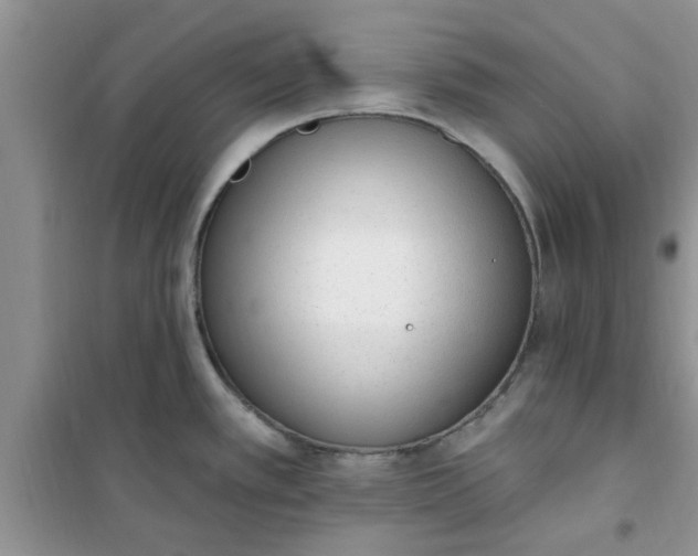 X0000100961389200807081231