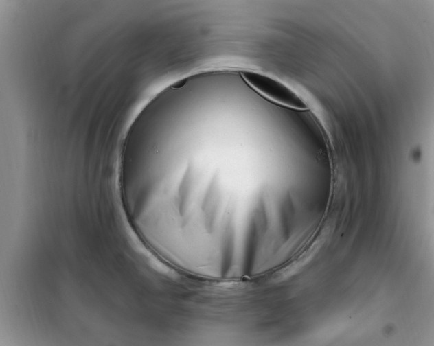 X0000100961390200807081231