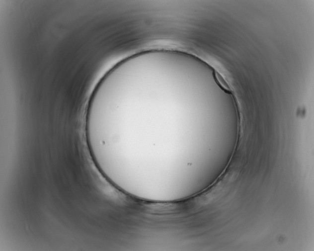 X0000100961392200807081231
