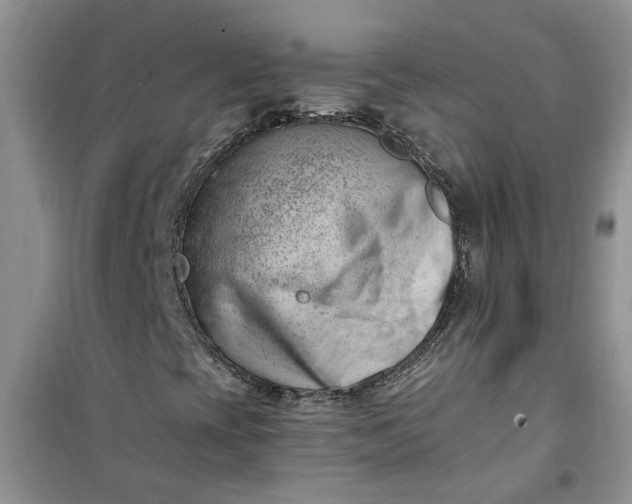 X0000100961393200807081231