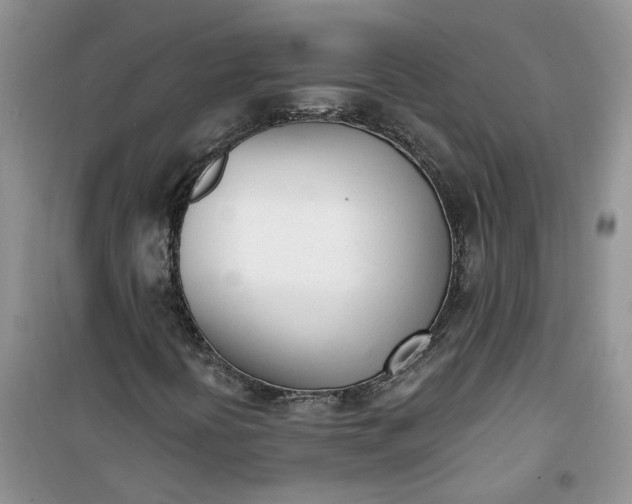 X0000100961394200807081231