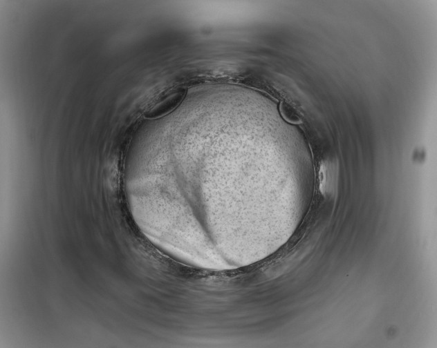 X0000100961395200807081231