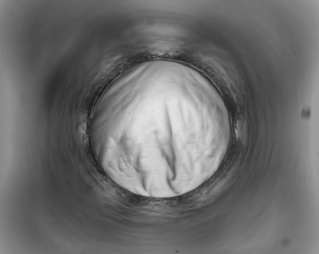 X0000100961396200807081231