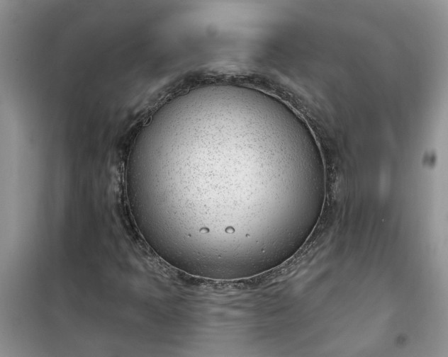 X0000100961397200807081231