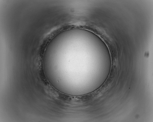 X0000100961398200807081231
