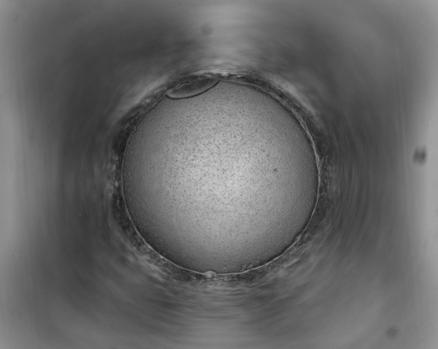 X0000100961399200807081231