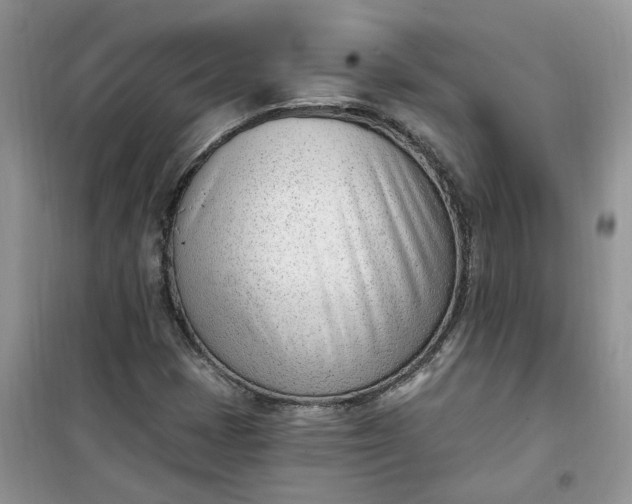 X0000100961401200807081231
