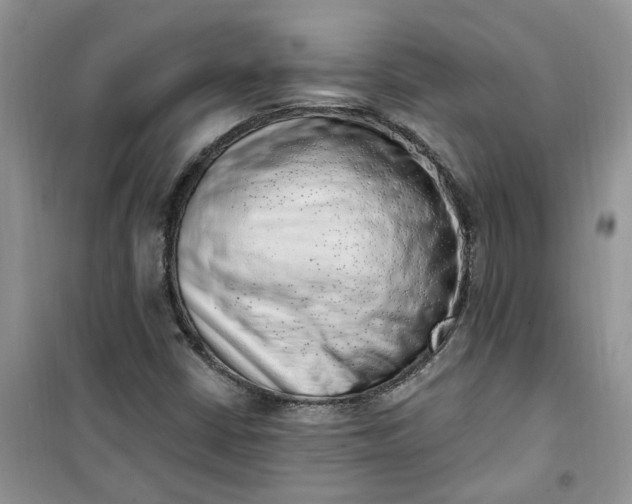 X0000100961402200807081231