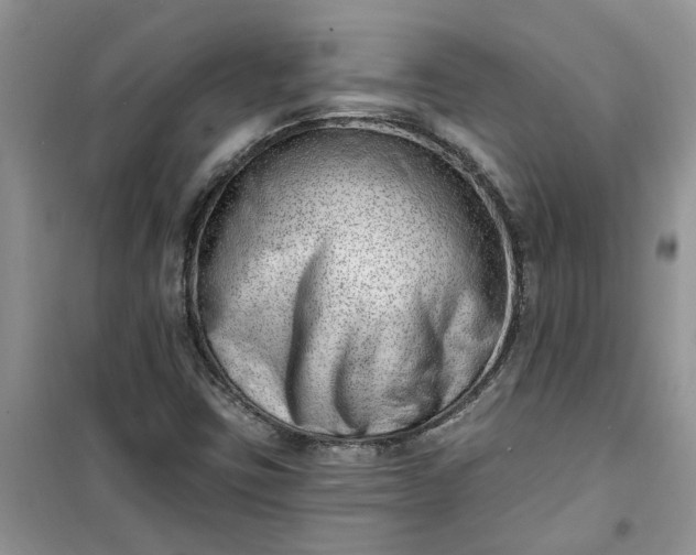 X0000100961403200807081231