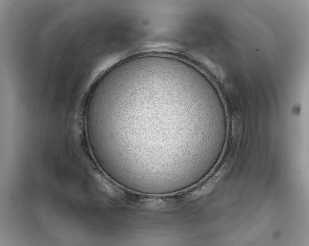X0000100961405200807081231