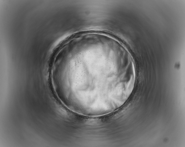 X0000100961406200807081231