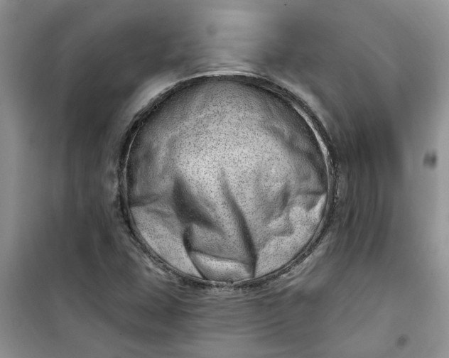 X0000100961407200807081231