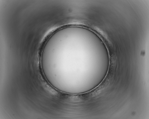 X0000100961408200807081231